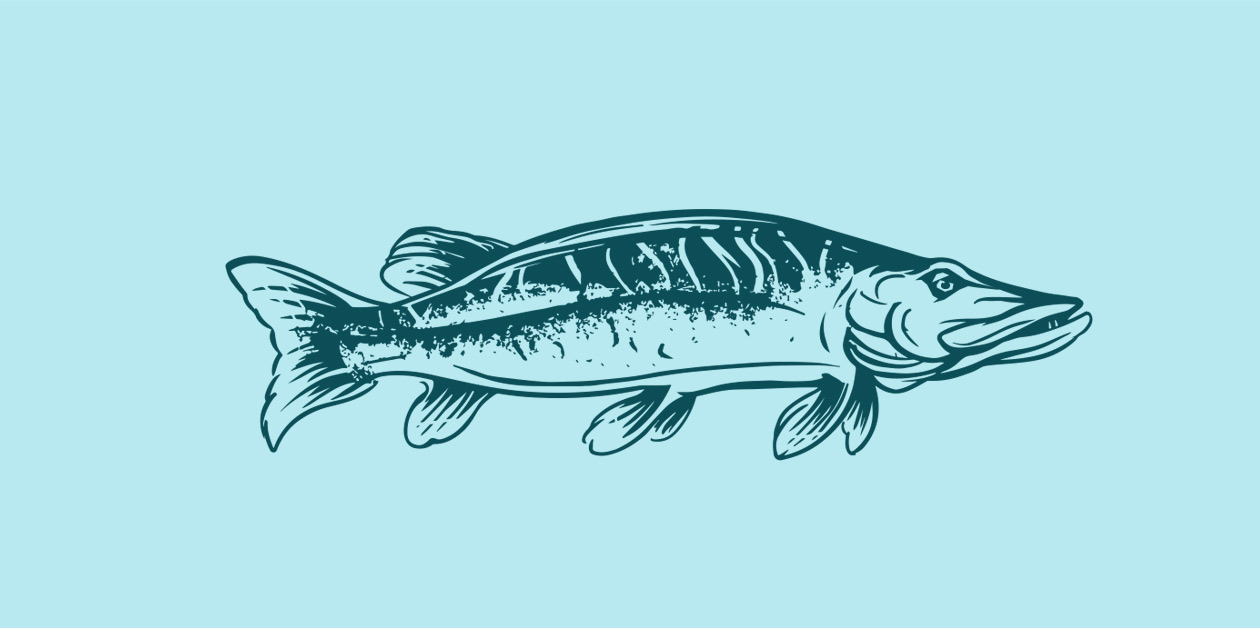 illustration Wild and free Fish MAISON D'IDÉE